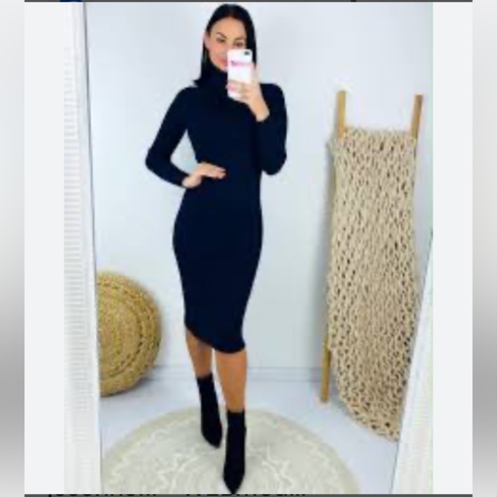 Ribbed Fitted Turtle Neck Black Dress.
